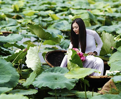 Á hậu Thùy Trang đẹp dịu dàng bên hoa sen